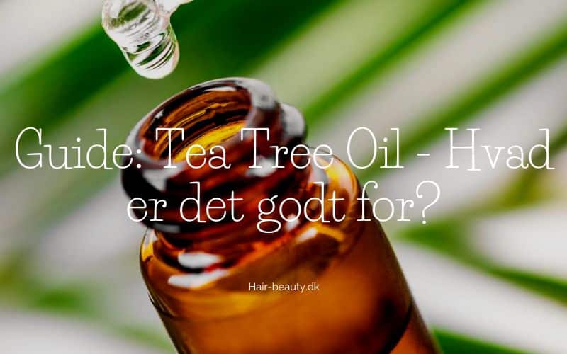Guide Tea Tree Oil - Hvad er det godt for