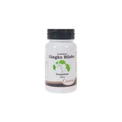 Camette Ginkgo biloba 100 mg (90 tab)